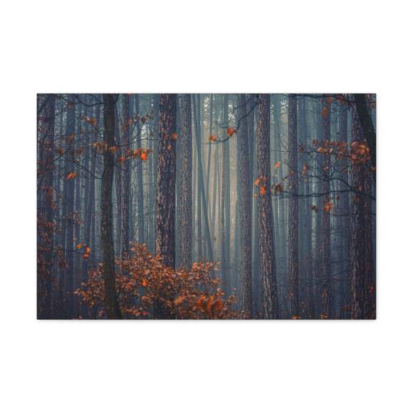 Autumn Forest Misty Orange Tree Leave Nature Wilderness Photography Canvas Wall